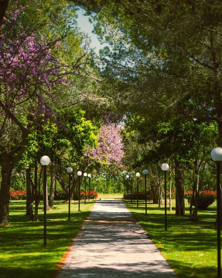 Green Park Serenity Divjake